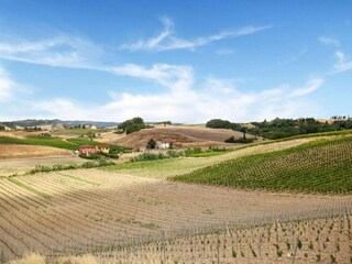 Appartamento Montaione Ambiente 30