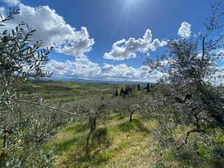 Appartamento Montaione Ambiente 38