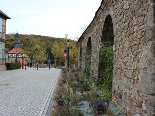 Bungalow Blankenburg Omgeving 25