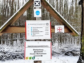 Bungalow Blankenburg Omgeving 36