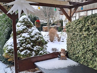 Blick aus dem Bungalow