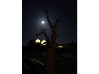 Casa per le vacanze Werder/Havel Ambiente 35