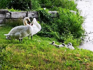 Casa per le vacanze Werder/Havel Ambiente 25