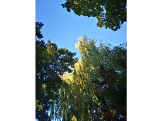 Casa per le vacanze Werder/Havel Ambiente 29