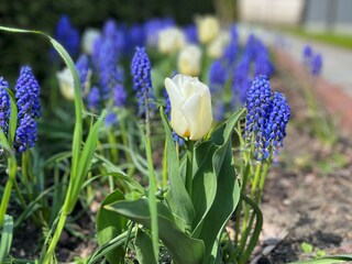 Casa per le vacanze Werder/Havel Registrazione all'aperto 5