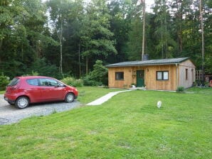 Bungalow Haus am Wald - Reinhardtsdorf - image1