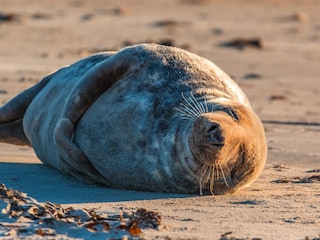 Ferienwohnung Horumersiel Umgebung 25