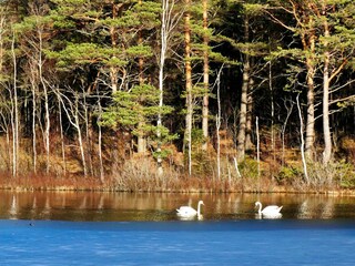 Vakantiehuis Bullaren  20