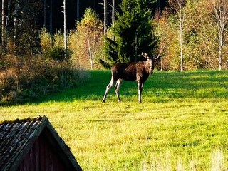 Ferienhaus Bullaren  21