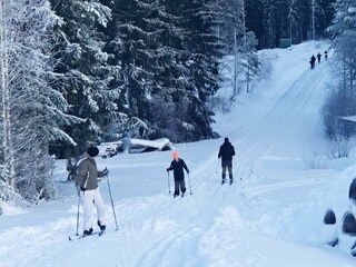 Ferienhaus Bullaren  21