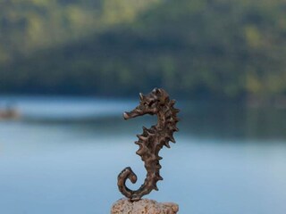 Appartamento Pasadur  7