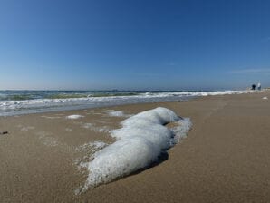 Beautiful villa, with two bathrooms, located in a holiday park near the beach - Sint Maartenszee - image1