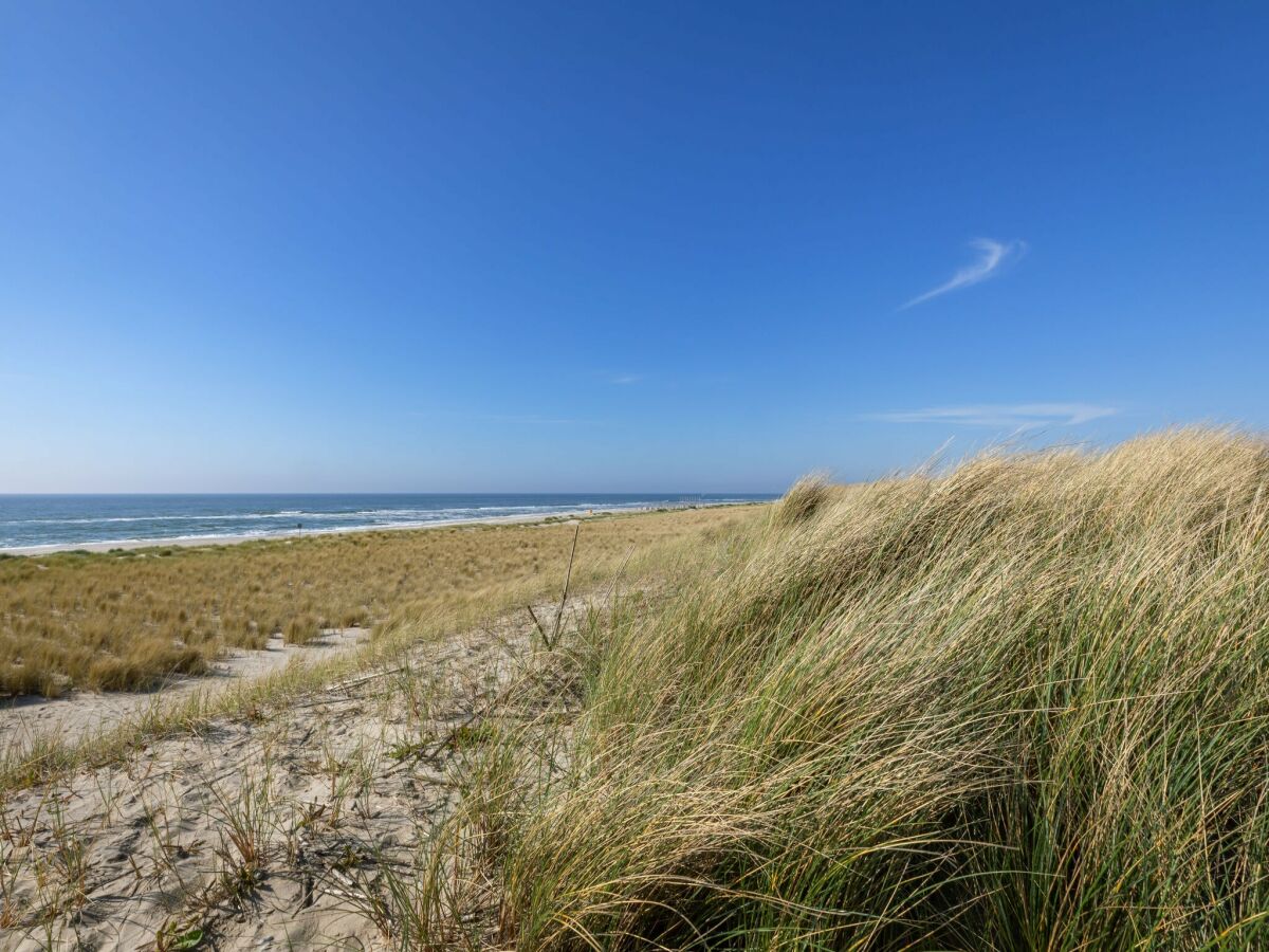 Parc de vacances Sint Maartenszee Environnement 1