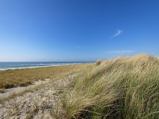 Parque de vacaciones Sint Maartenszee Entorno 15