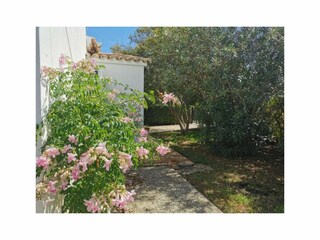 Villa Pollensa Buitenaudio-opname 4