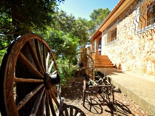 Garten drum herum der Finca