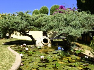 Villa Marratxí Grabación al aire libre 11