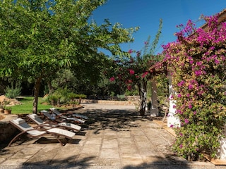 Finca Pollensa Buitenaudio-opname 8