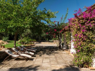 Tenuta Pollensa Registrazione all'aperto 8