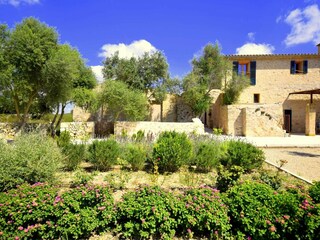 Finca Vilafranca de Bonany Grabación al aire libre 14