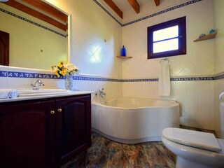 Finca Artà Características 45
