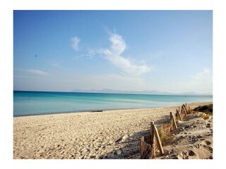 Tenuta Petra Ambiente 56