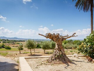 Vakantiehuis Sant Llorenc des Cardassar Buitenaudio-opname 17