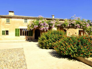 Tenuta Manacor Registrazione all'aperto 9