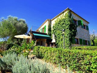 Villa Petra Buitenaudio-opname 10