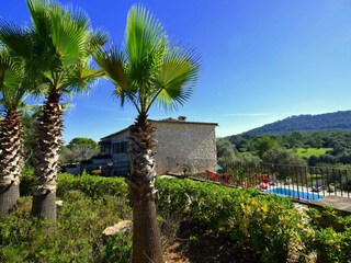 Villa Petra Buitenaudio-opname 12