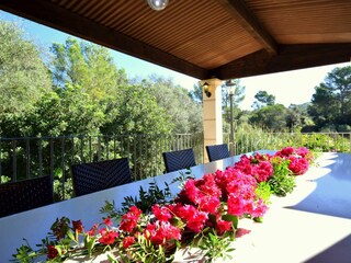 Villa Petra Buitenaudio-opname 21