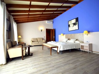 Finca Manacor Kenmerken 31