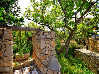 Garten mit Alten Brunnen