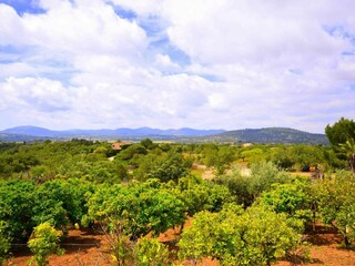 Finca Sant Llorenc des Cardassar Environnement 66