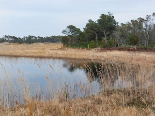 Ferienhaus Frøstrup  15