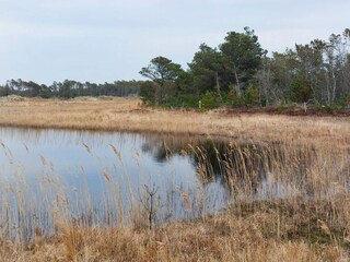 Maison de vacances Frøstrup  23