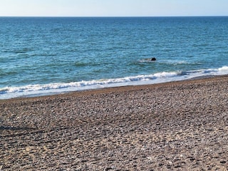 Casa de vacaciones Frøstrup  31
