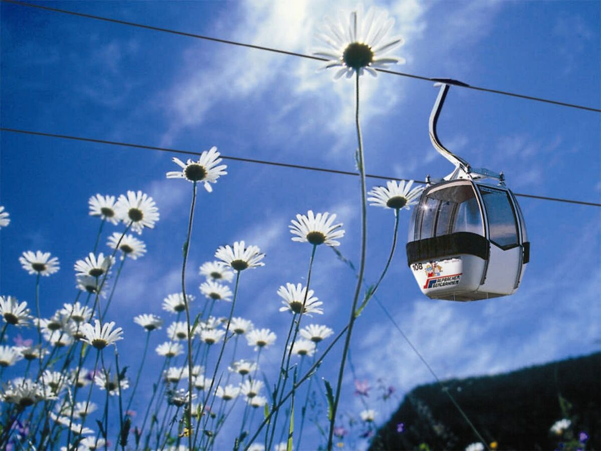 Apartment Reith im Alpbachtal Umgebung 25