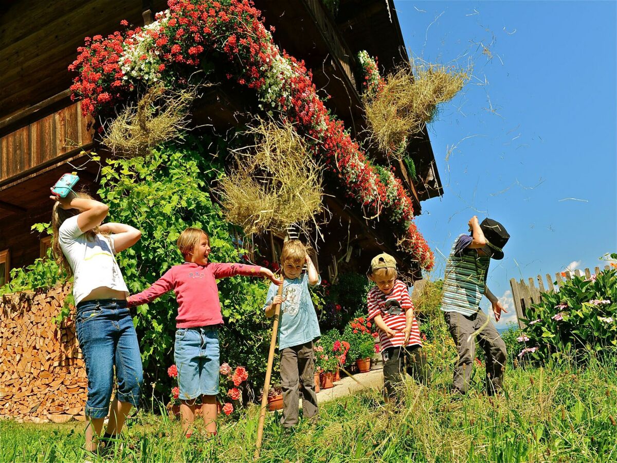 Apartment Reith im Alpbachtal Umgebung 27