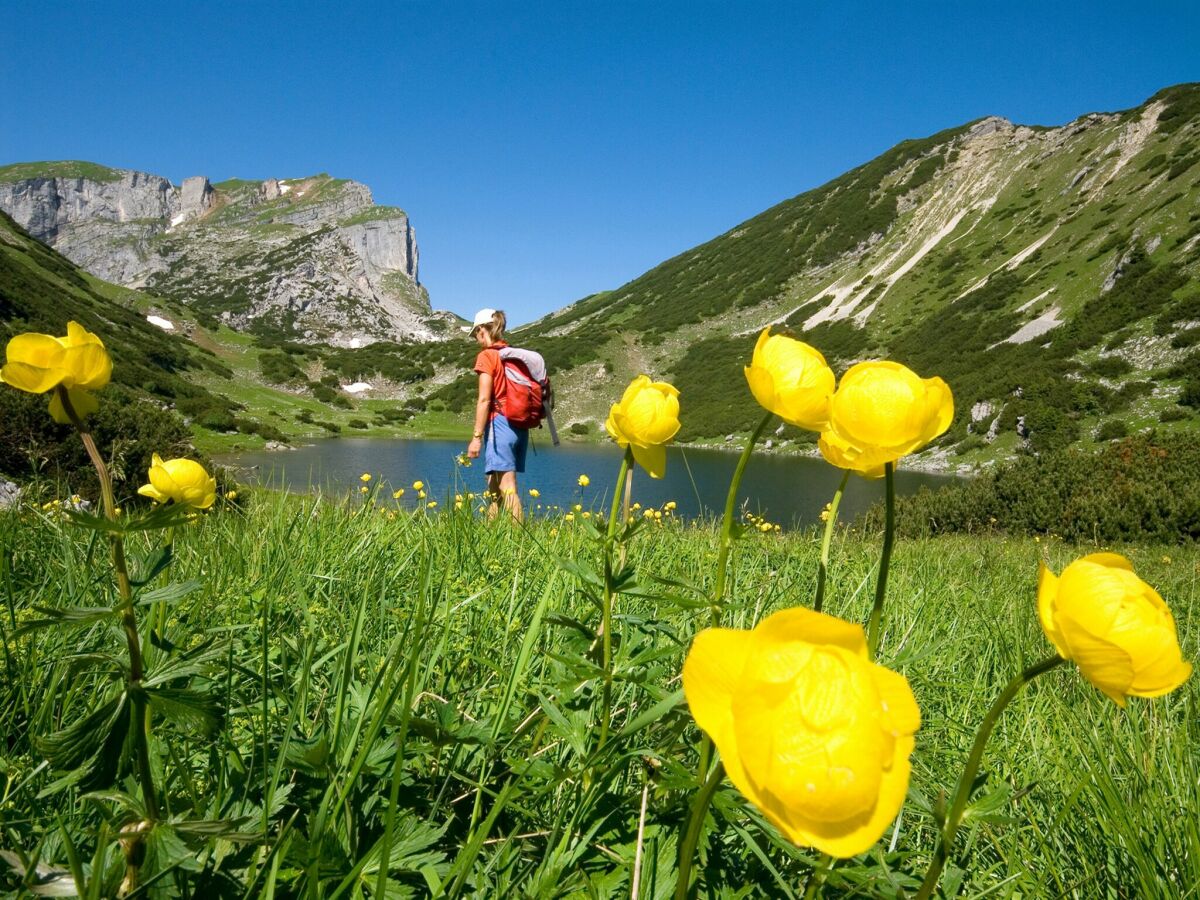 Apartment Reith im Alpbachtal Umgebung 28