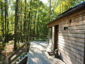 Holiday house Modernes Chalet im Wald gelegen - Viroinval - image1