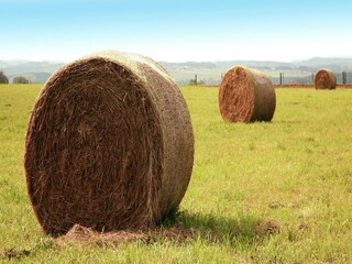 Holiday house Viroinval Environment 23