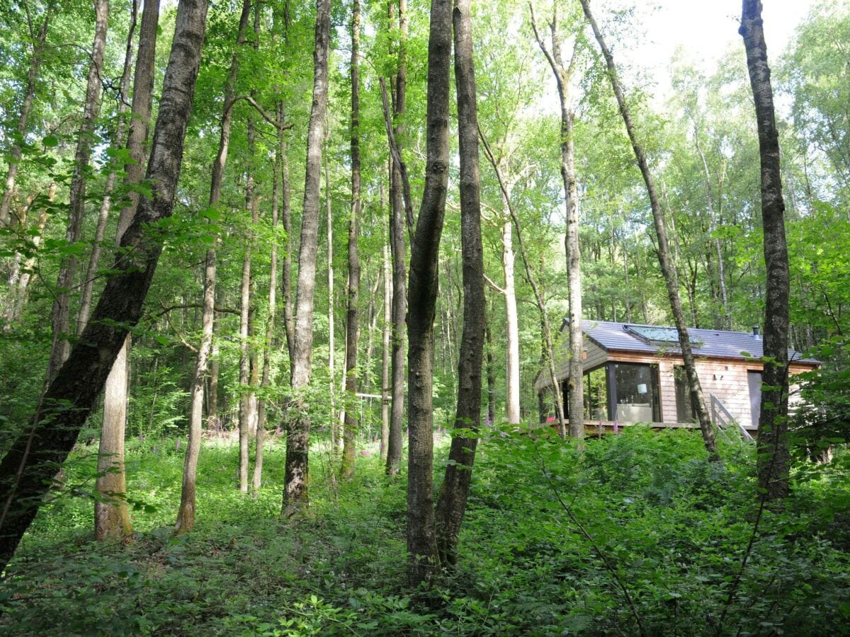 Ferienhaus Viroinval Umgebung 20