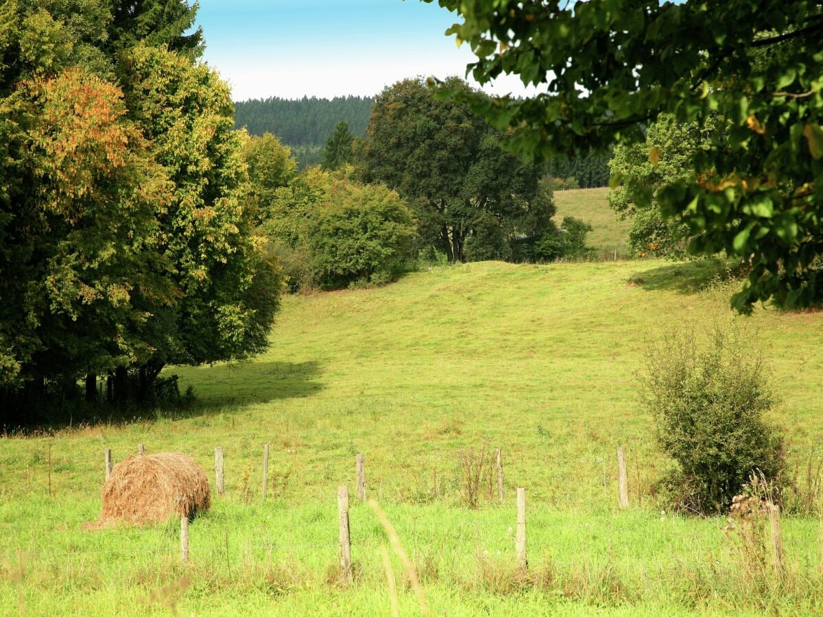 Ferienhaus Viroinval Umgebung 21