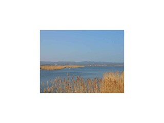 Vakantieappartement Sellin Buitenaudio-opname 19