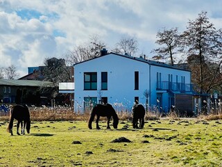 idyllische Außenansicht