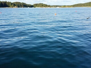 Holiday house Oslo  36