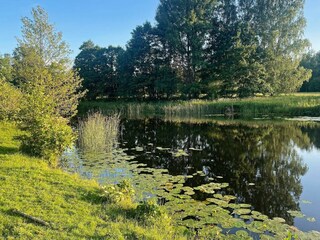 Ferienhaus Fågelfors Außenaufnahme 2
