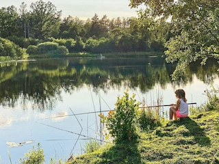 Ferienhaus Fågelfors  9