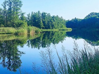 Holiday house Fågelfors  20